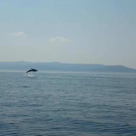 Werz Sea View Διαμέρισμα
