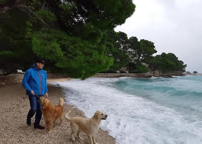 Werz Sea View ברלה